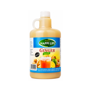 GINGER DRINK 12X1L