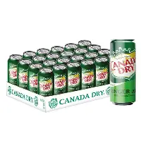 CANADA DRY 24X33CL