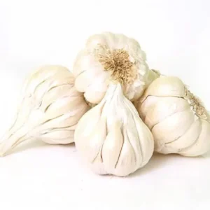 AIL 1KG 2.90€TTC