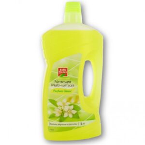 BF NETTOY CITRON 12X1L