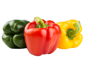 POIVRON 1KG 2.60€TTC