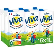 VIVA 6X1L