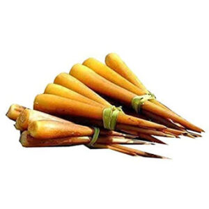VALSI PALMYRA SPROUT 12PCS 2.90€ TTC